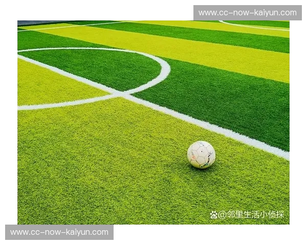 足球力量训练：让你在绿茵场上更快、更强、更持久